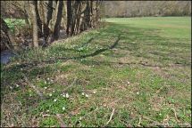 2 Bachlauf Elbrighaeuser Bach